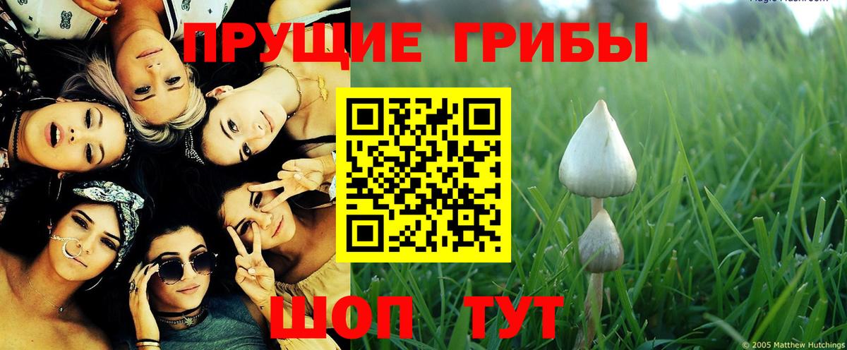 Крымск  Галлюциногенные грибы Magic Shrooms  Вход с VPN 